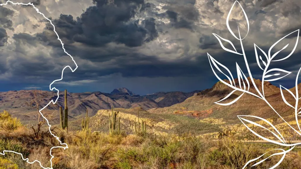 Esta es la planta nativa de Coahuila que enamora con su aroma