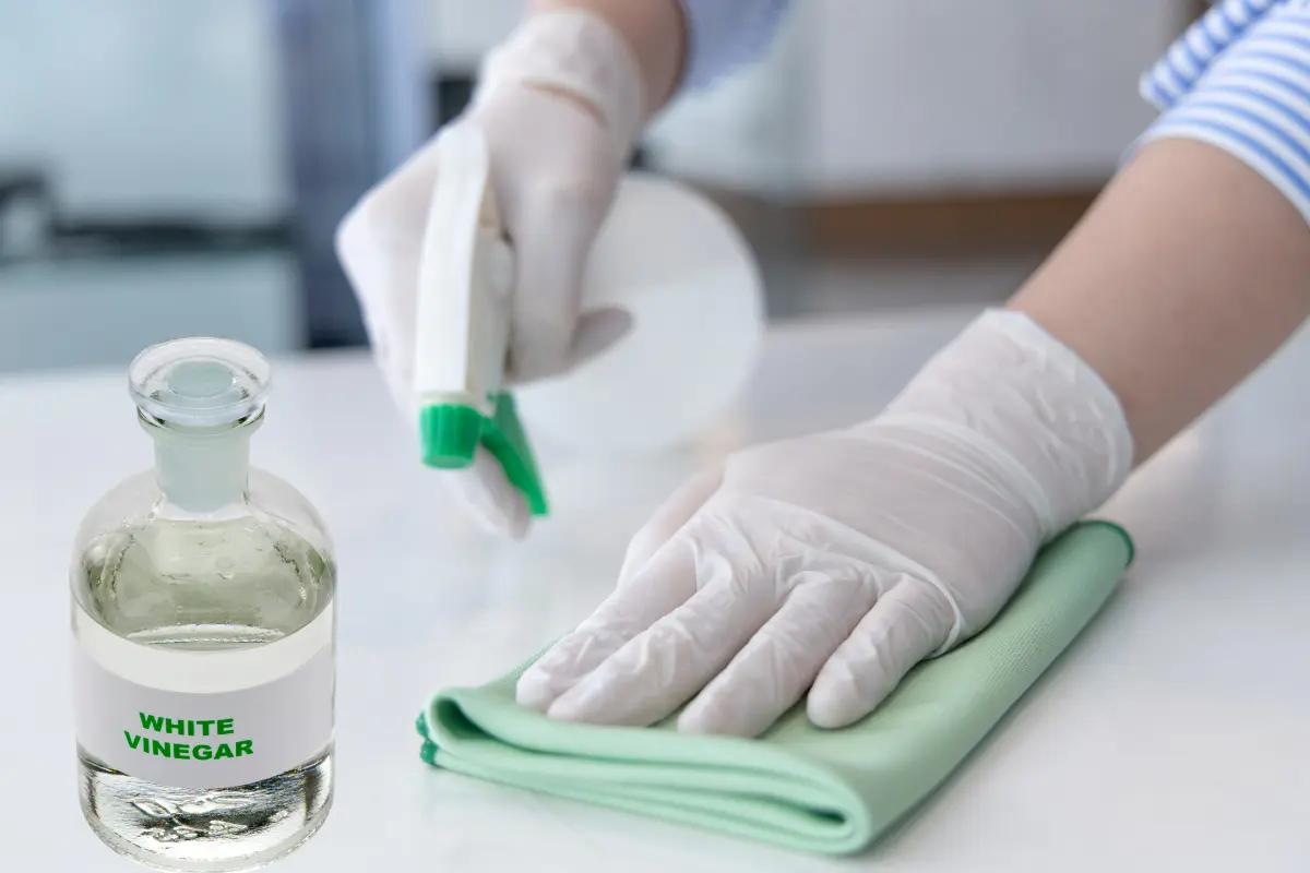El vinagre blanco es un producto económico y ecológico muy versátil, lo que hace que tenga múltiples usos. Foto: Canva