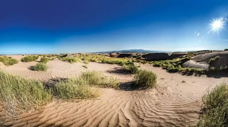 ¿Sabías que el desierto de Viesca fue un lago? UNAM investiga su valor científico