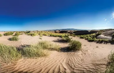 ¿Sabías que el desierto de Viesca fue un lago? UNAM investiga su valor científico