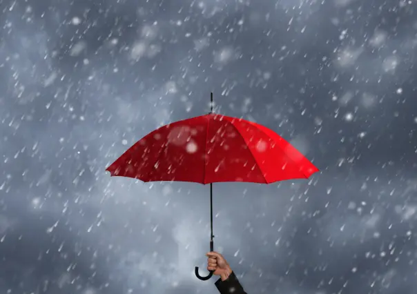 5 consejos efectivos para sobrevivir la temporada de lluvias