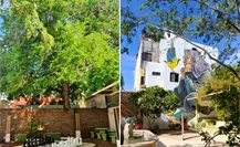 Parque Piedras y Pájaros: un rincón escondido en La Paz para respirar tranquilidad
