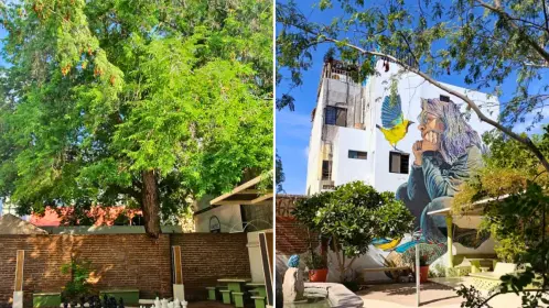 Parque Piedras y Pájaros: un rincón escondido en La Paz para respirar tranquilidad