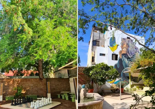 Parque Piedras y Pájaros: un rincón escondido en La Paz para respirar tranquilidad