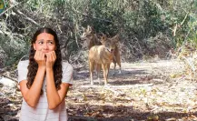 El animal nativo de Durango que es inofensivo pero al que algunos le temen