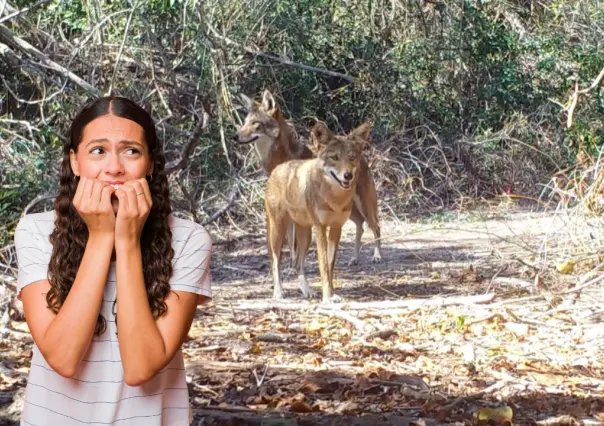 El animal nativo de Durango que es inofensivo pero al que algunos le temen