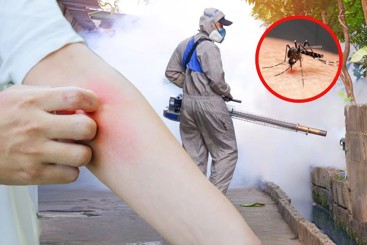 Esta brigada de fumigación no solo protege a quienes viven allí, sino que también beneficia a zonas aledañas. Foto: Canva