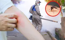 Félix Arratia lidera jornada de fumigación contra el dengue en Juárez