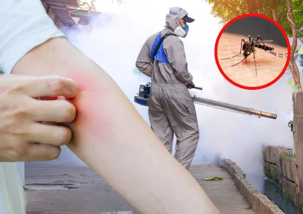 Félix Arratia lidera jornada de fumigación contra el dengue en Juárez
