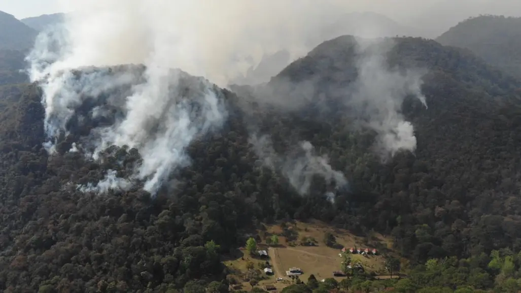 Incendios forestales ya han afectado más de 17 mil hectáreas en Tamaulipas en 2025