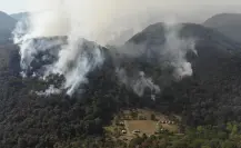 Incendios forestales ya han afectado más de 17 mil hectáreas en Tamaulipas en 2025