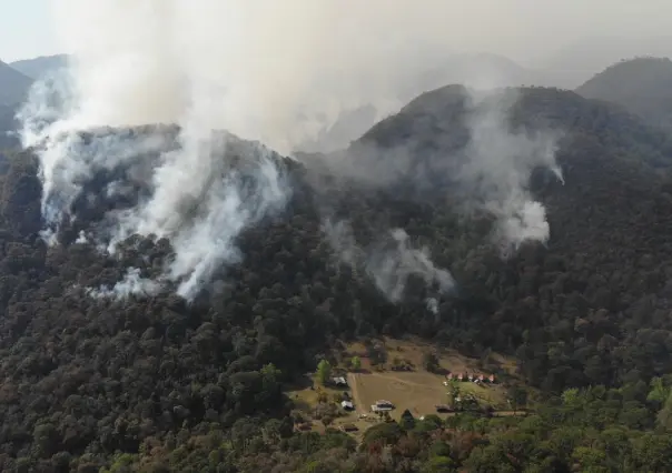 Incendios forestales ya han afectado más de 17 mil hectáreas en Tamaulipas en 2025