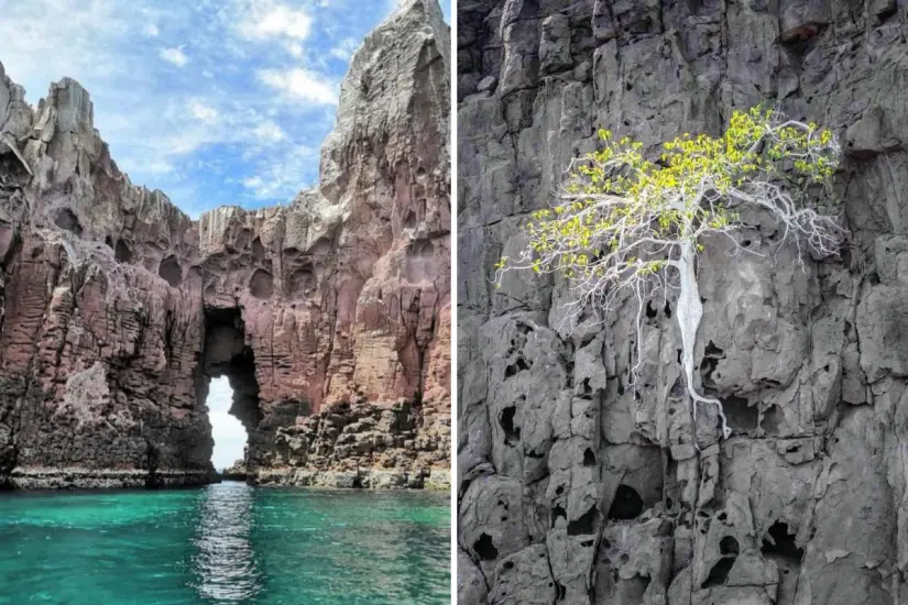 Foto:  Azul Baja / X | @PostBajaSur / X