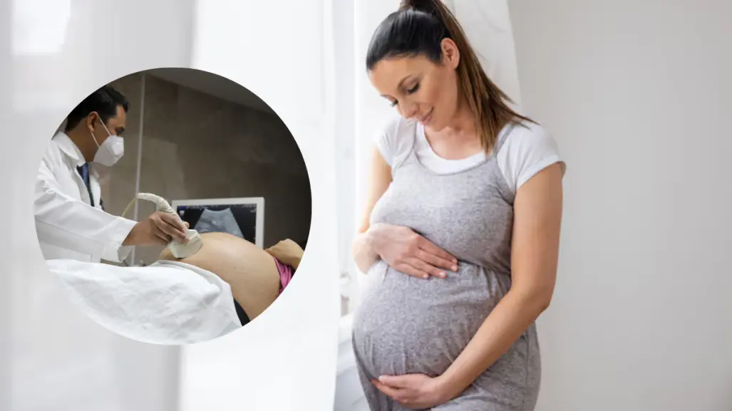 IMSS Tamaulipas invita a embarazadas a llevar un control prenatal adecuado
