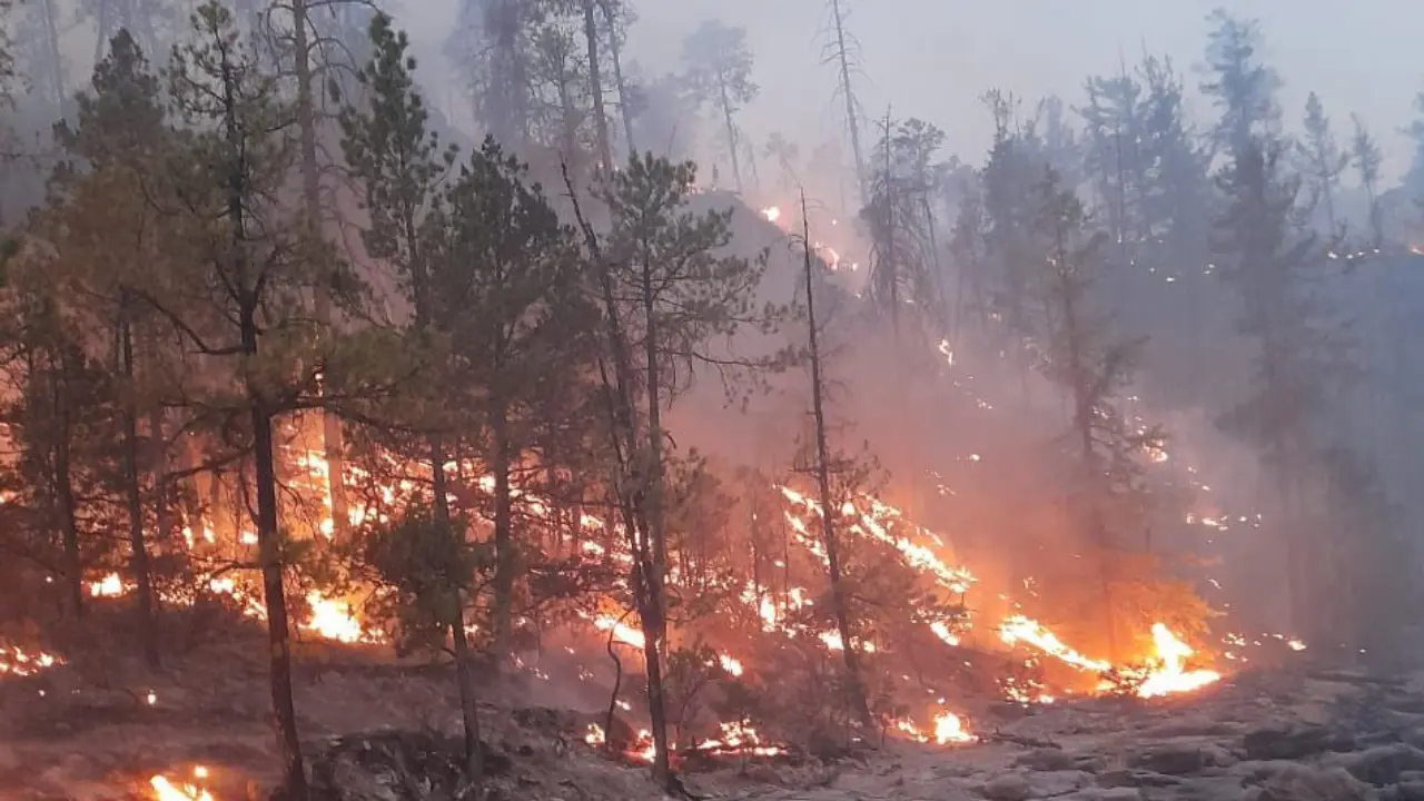 Durango ha enfrentado una intensa temporada de incendios forestales. Foto: RRSS.