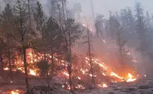 Incendios forestales en Durango, a niveles récord: 2025 ya superó a 2022, 2023 y 2024