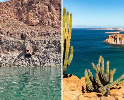 ¿Ya conoces "La Máscara"? la roca con cara humana en Isla Espíritu Santo, BCS