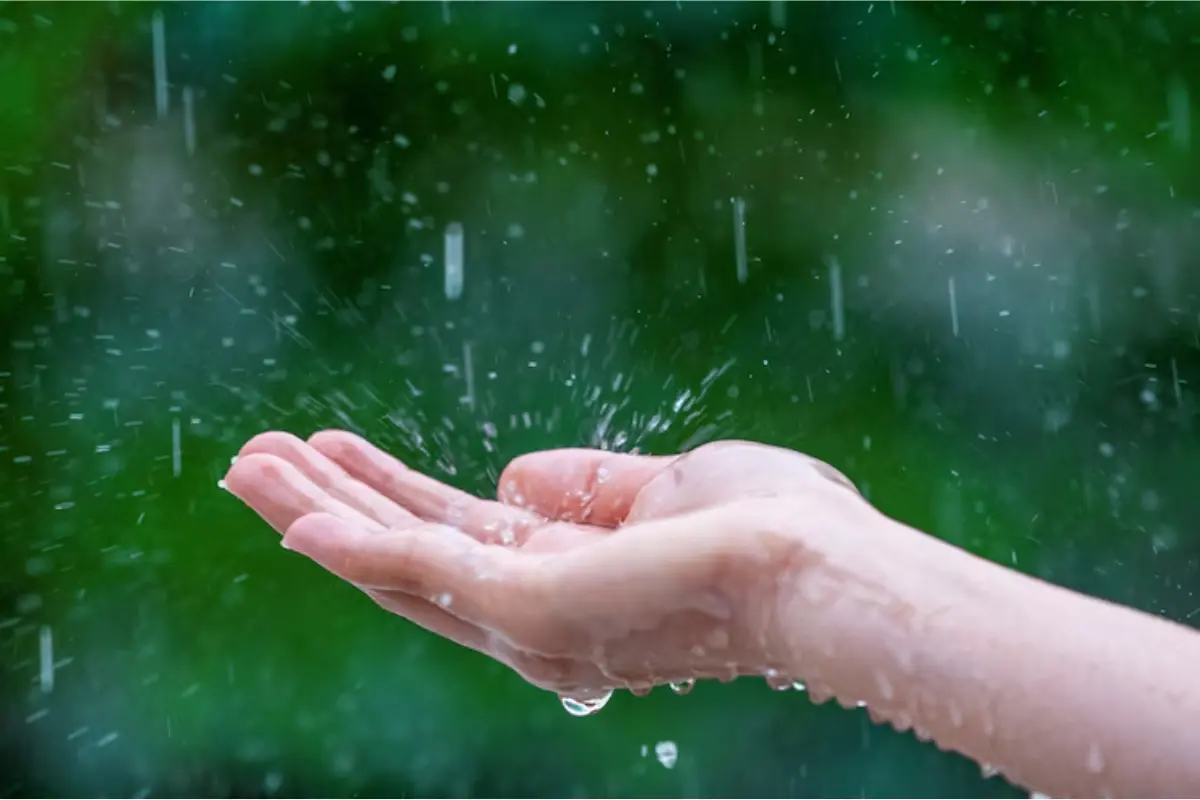 Se pronostica lluvias fuertes con puntuales muy fuertes (50 a 75 mm) en gran parte del estado. Foto: Freepik