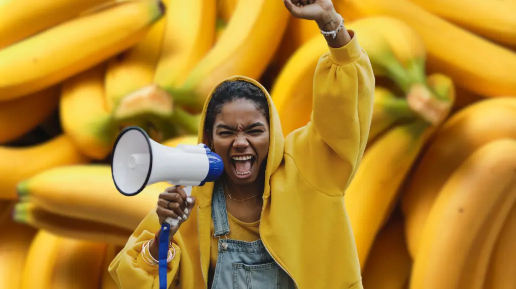 Panamá declara estado de emergencia en Bocas del Toro tras despidos masivos de Chiquita Brands