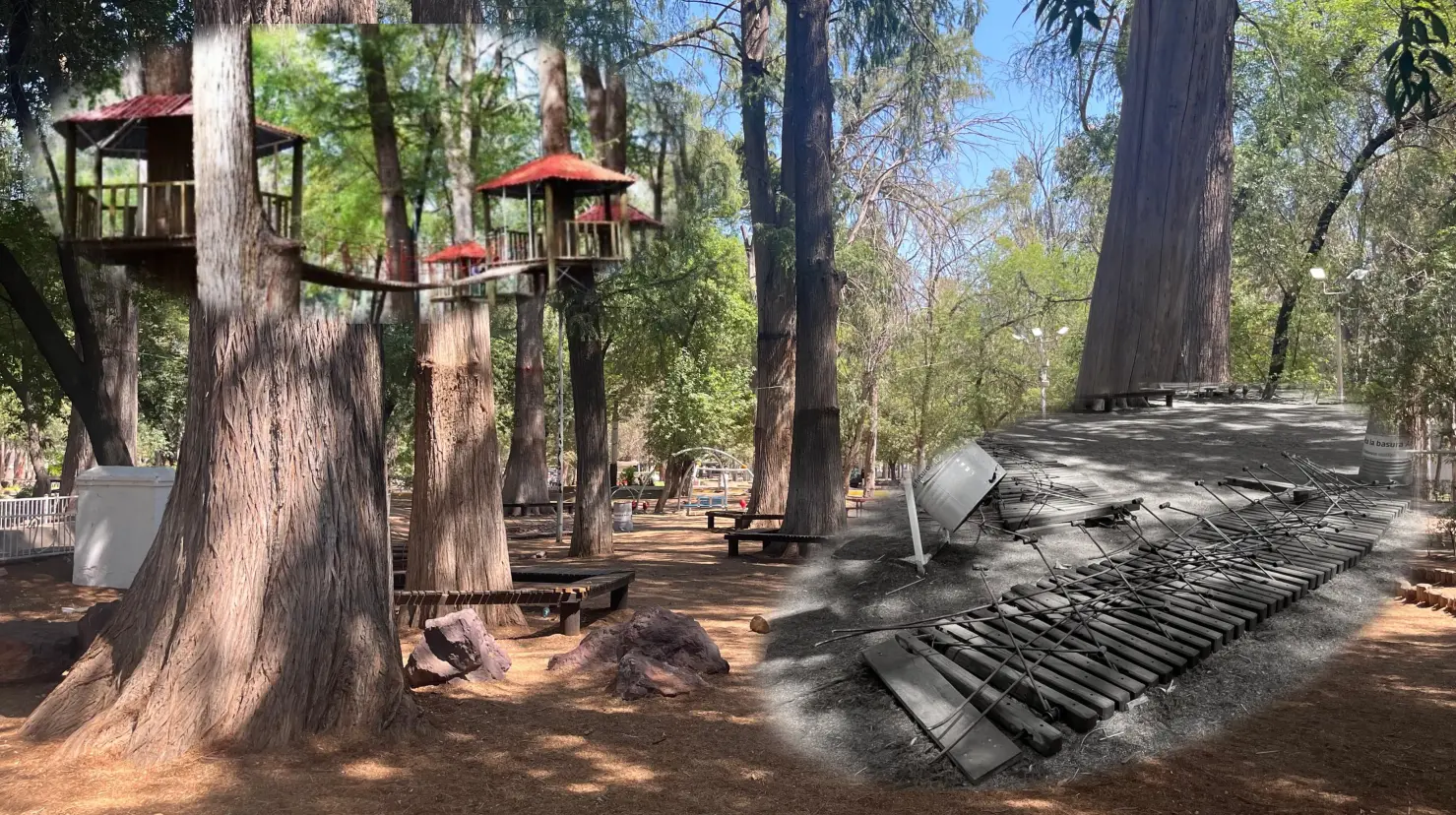 Foto: Jesús Carrillo | Las famosas casitas de los árboles del parque Guadiana fueron desmanteladas.