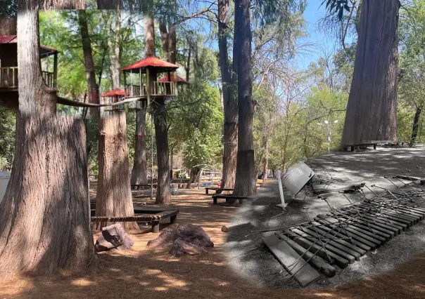 Dicen adiós a un espacio muy concurrido del Parque Guadiana