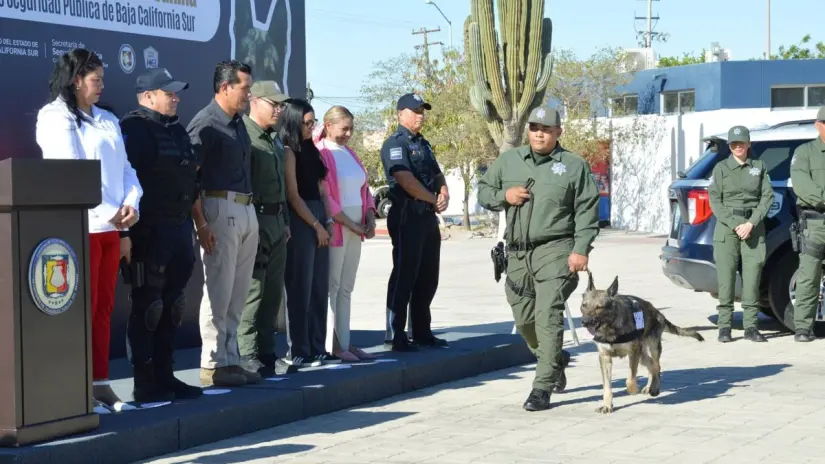 Foto: Cortesía /  Secretaría de Seguridad Pública BCS