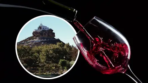 ¿Cuál es el mejor vino de Coahuila?