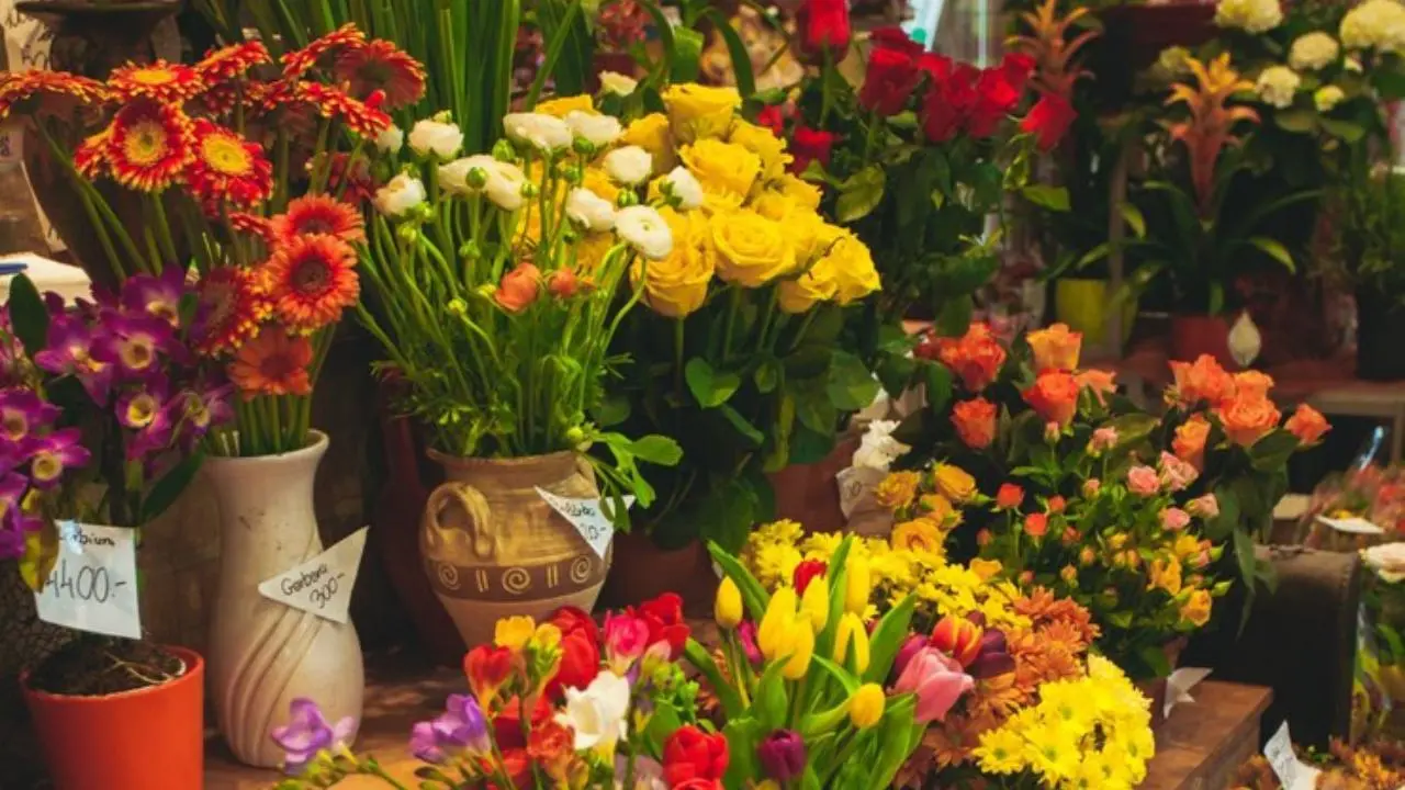 Festival de las Flores Tenancingo, Edomex: fechas y actividades para disfrutar al máximo. Foto: Freepik