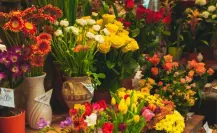 Festival de las Flores Tenancingo, Edomex: fechas y actividades para disfrutar al máximo