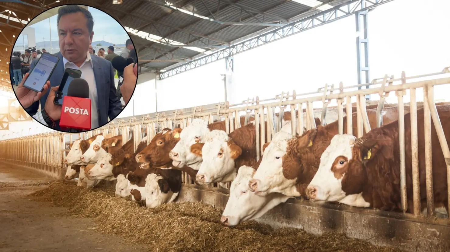 Jesús María Montemayor, secretario de Agricultura, habló sobre el plan contra el gusano barrenador. (Fotografía: Marco Juárez | Canva)