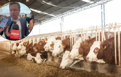 Coahuila intensificará medidas contra el gusano barrenador con más inspectores