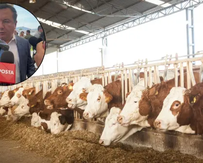 Coahuila intensificará medidas contra el gusano barrenador con más inspectores