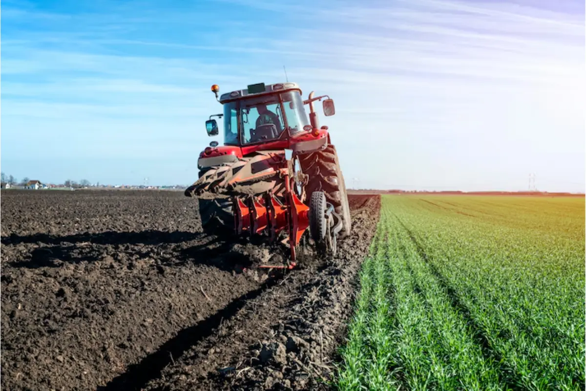 El sorgo y la caña de azúcar son candidatos para la producción de biocombustibles en el estado. Foto: Freepik