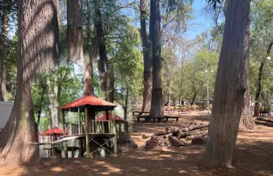 Esta es la razón por la que quitaron del Parque Guadiana las casitas del árbol