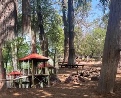 Esta es la razón por la que quitaron del Parque Guadiana las casitas del árbol