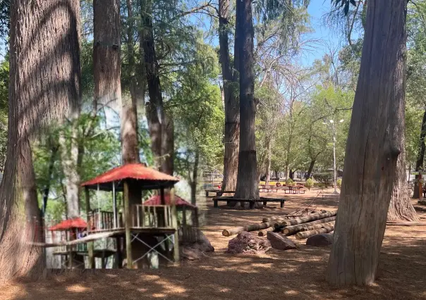 Esta es la razón por la que quitaron del Parque Guadiana las casitas del árbol