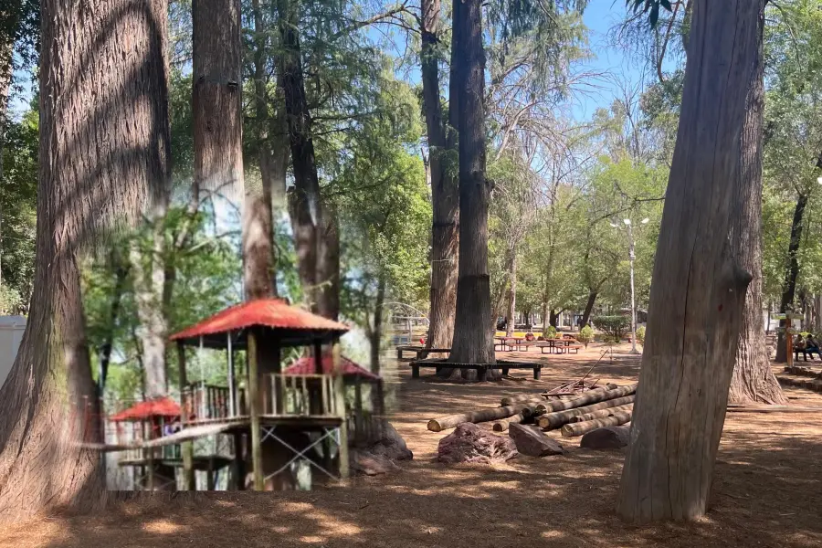 Esta es la razón por la que quitaron del Parque Guadiana las casitas del árbol