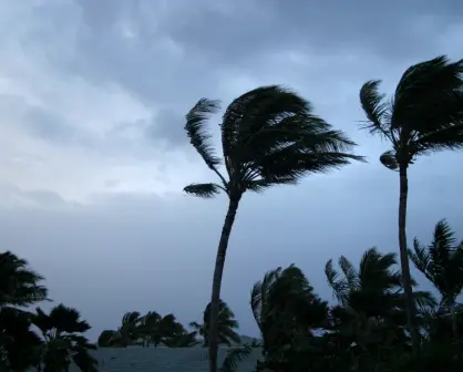 ¿Cómo impactará la tormenta Alvin en México?