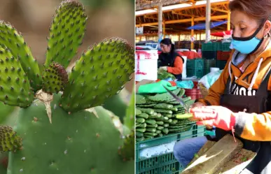 CDMX lanza concurso de pelado de nopales: así puedes ganar hasta 10 mil pesos