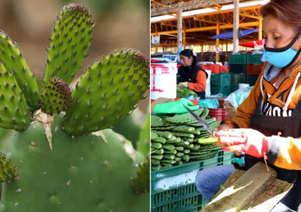 CDMX lanza concurso de pelado de nopales: así puedes ganar hasta 10 mil pesos