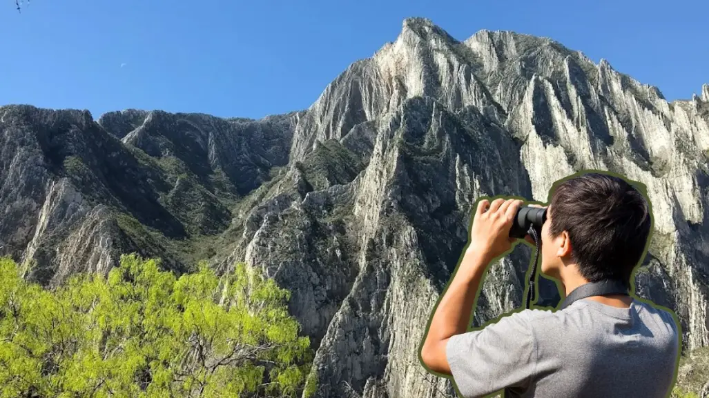 Descubre las plantas y árboles nativos de Nuevo León que encontrarás en el Cañón de Guitarritas