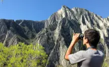 Descubre las plantas y árboles nativos de Nuevo León que encontrarás en el Cañón de Guitarritas