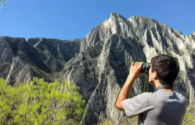 Descubre las plantas y árboles nativos de Nuevo León que encontrarás en el Cañón de Guitarritas