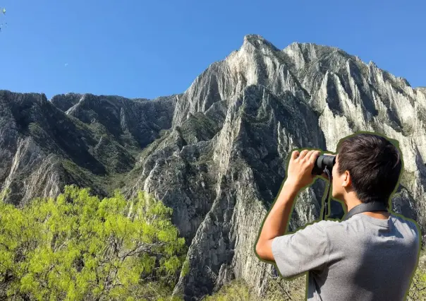 Descubre las plantas y árboles nativos de Nuevo León que encontrarás en el Cañón de Guitarritas