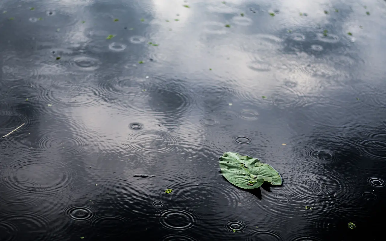 Se esperan lluvias y posibles chubascos en distintos municipios del Edomex; toma precauciones al salir. Foto: Freep!k (Canva)