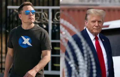 Elon Musk renuncia a su cargo en el Gobierno de Donald Trump