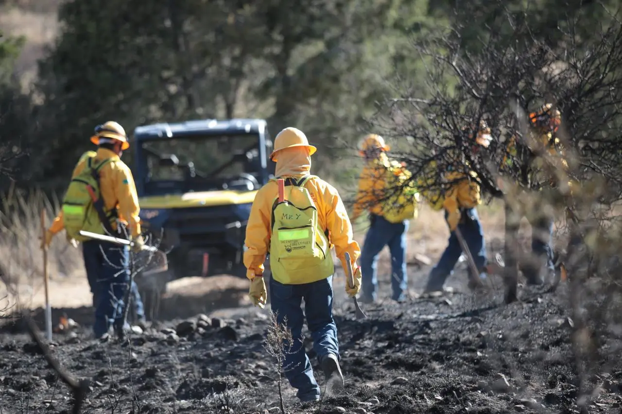 Este año se han registrado más de 60 incendios forestales en Coahuila. (Fotografía: Gobierno de Coahuila)