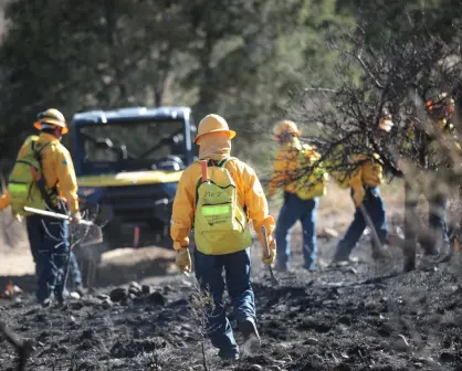 Incendios forestales en Coahuila se triplican en 2025: van más de 60