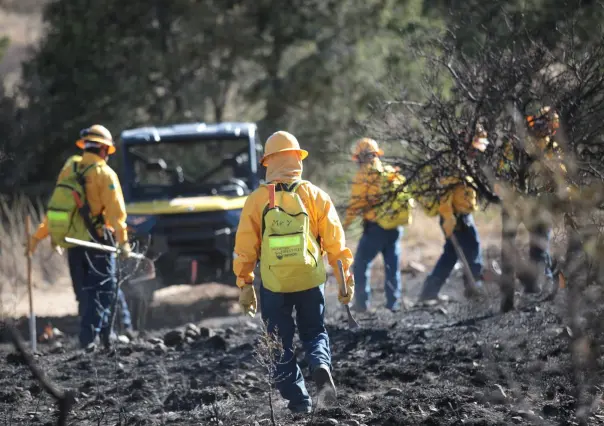 Incendios forestales en Coahuila se triplican en 2025: van más de 60