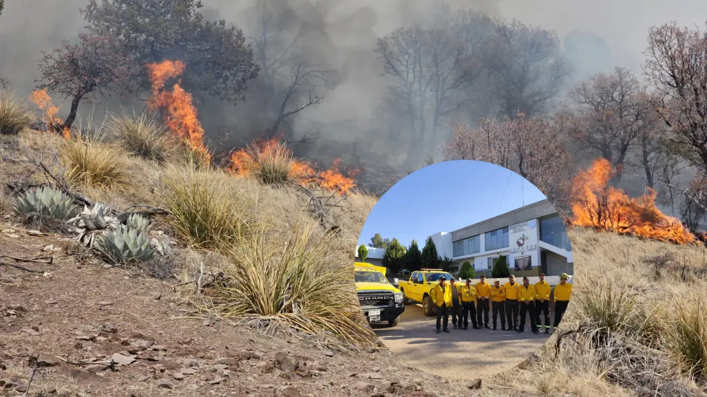 Incendios forestales: Durango envía brigadas de apoyo a Chihuahua